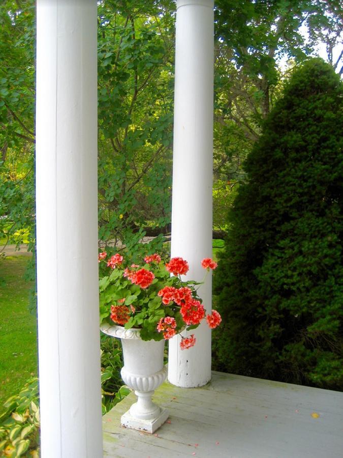 Millbrook Country House エクステリア 写真
