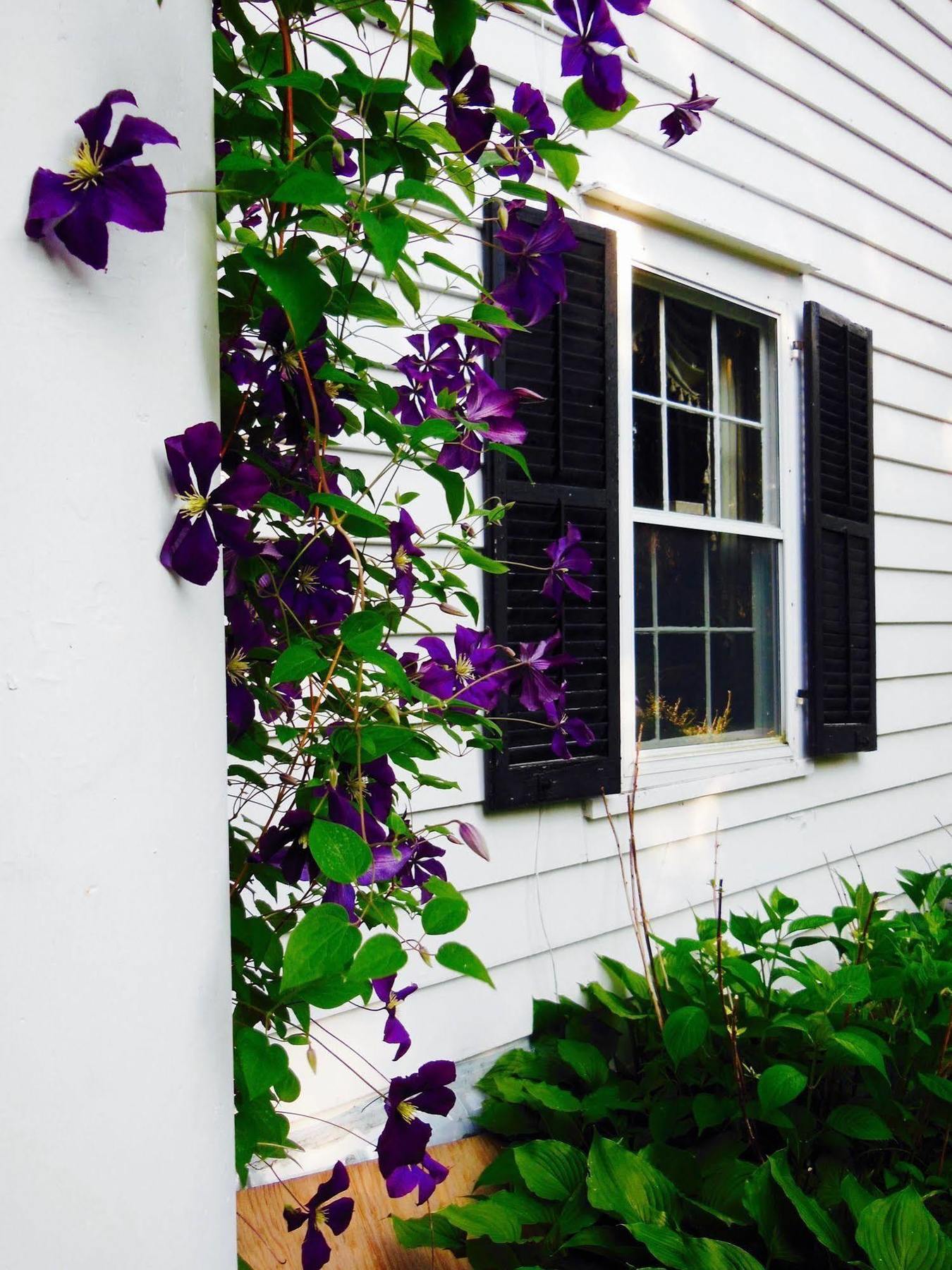 Millbrook Country House エクステリア 写真